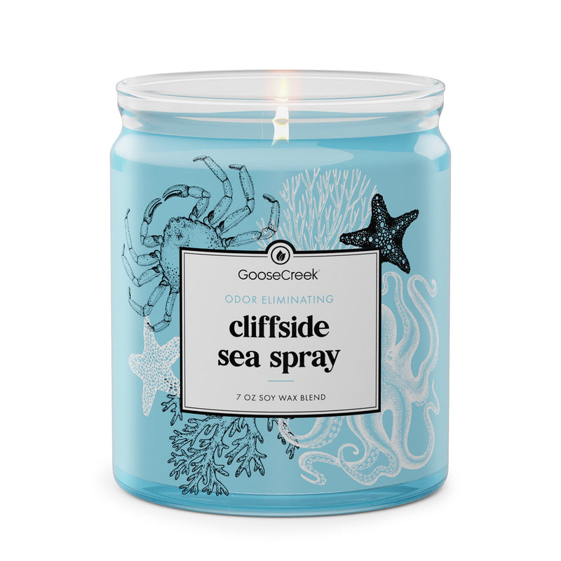 Odor Eliminating 7oz Single Wick Candle G7