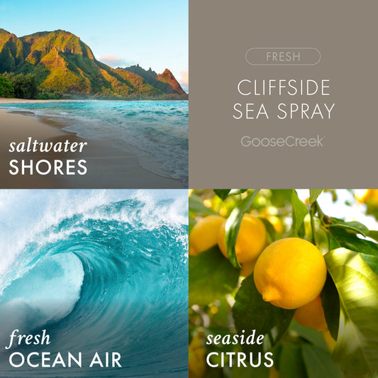 Cliffside Sea Spray Odor Eliminating Wax Melt